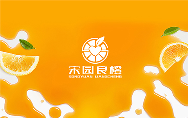 某良橙——绵阳LOGO设计